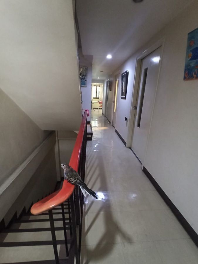 ขายอาคารพาณิชย์ 4 ชั้นครึ่ง ซอยรามคำแหง-กรุงเทพกรีฑา  ใกล้ศูนย์รวมสถานีรถไฟฟ้าแยกลำสาลี  เหมาะทำโฮมออฟฟิศหรือค้าขาย