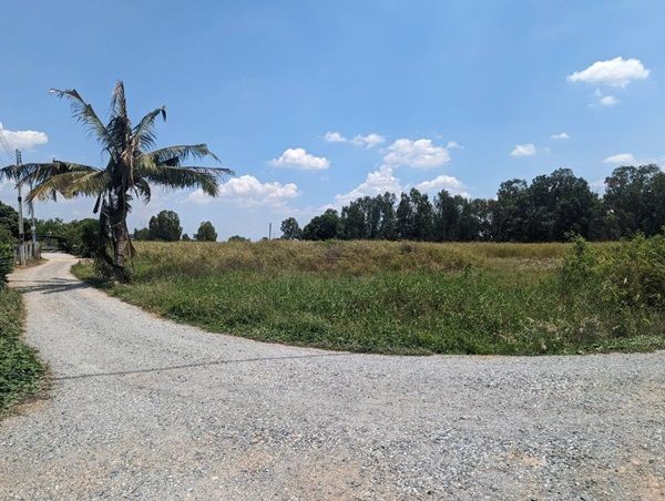 ขายที่ดินติดถนน 3 ด้าน 12-3-71 ไร่ ทำเลทอง ศุขประยูร - พนัสนิคม จ.ชลบุรี โทร 0818213624