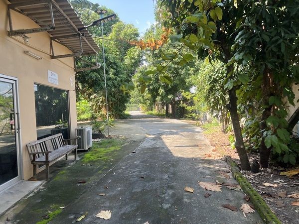 ขายที่ดิน ถนนพระราม2 ซอย28 แยก22 เขตจอมทอง กทม. พร้อมสิ่งปลูกสร้าง เป็นพื้นที่สีส้ม ขนาด 8 ไร่ 1 งาน 85 ตร.ว. โทร. 0814018666