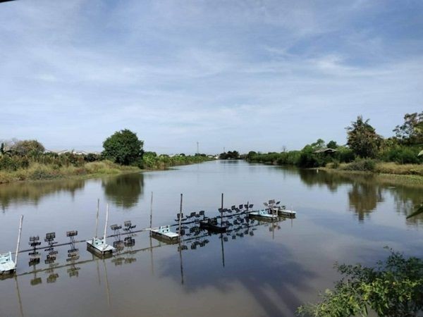 ขายด่วน! ลดกระหน่ำ ถูกสุดๆ ขายที่ดินราคาพิเศษ อ.บางเสาธง จ.สมุทรปราการ สวย ทำเลดี Tel. 092-6869618