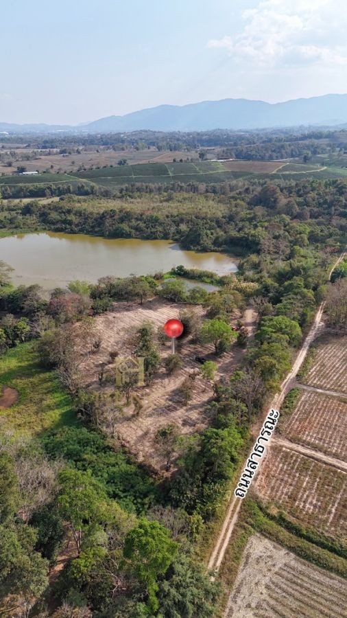 ขายที่ดิน 12 ไร่กว่า ทำเลศักยภาพ ใกล้แหล่งท่องเที่ยว จ.เชียงราย อ.แม่จัน ต.ศรีค้ำ เดินทางสะดวก โทร 081-0321111