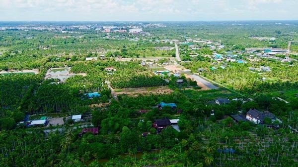 ขายที่ดินแปลงสวย ต.บางตีนเป็ด อ.เมือง จ.ฉะเชิงเทรา เนื้อที่ 3 ไร่ 9 ตร.ว. โทร 081-435-2828