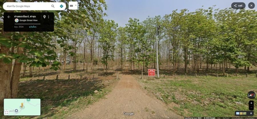 ด่วน! โอกาสทองสำหรับนักลงทุน ที่ดิน 29 ไร่ พร้อมสวนสักอายุ 12 ปี ใกล้เมืองลำพูน โทร 081-530-7997