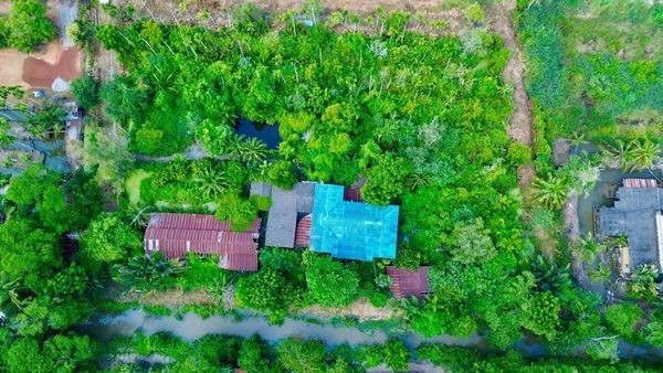 ขายที่ดินแปลงสวย ต.บางตีนเป็ด อ.เมือง จ.ฉะเชิงเทรา เนื้อที่ 3 ไร่ 9 ตร.ว. โทร 081-435-2828