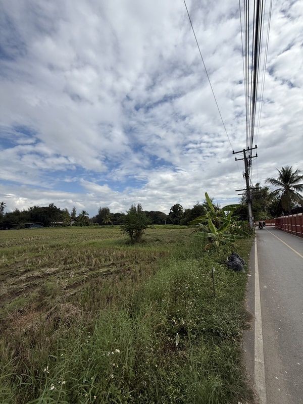 แบ่งขายที่ดิน 14 แปลง ขนาด 75-122 ตารางวา ตั้งอยู่ที่ ตำบลแม่ปูคา อำเภอสันกำแพง จังหวัดเชียงใหม่ (เจ้าของขายเอง) โทร 0806169615