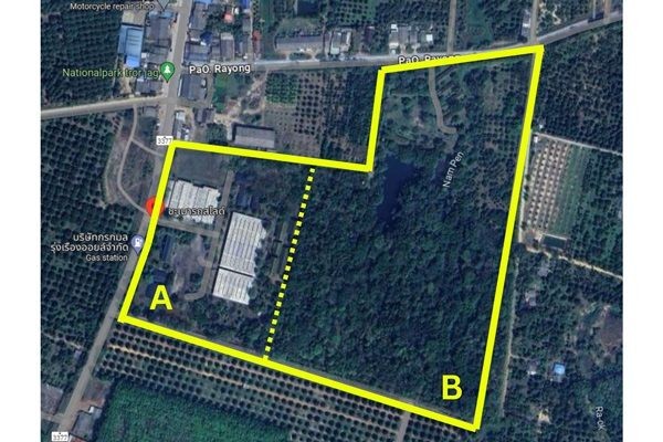 ขายโรงงาน และ สวนป่าเบญพรรณ อายุ 25 ปี อ.เขาชะเมา จ.ระยอง ราคาพิเศษ โทร 095-2601140