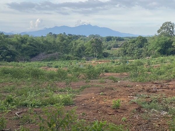 ขาย!!! ที่ดินสวย ทำเลศักยภาพ ใจกลางเมือง..หลังค่ายตากสิน..เนื้อที่ 14 ไร่เศษ โทร 092-5635533