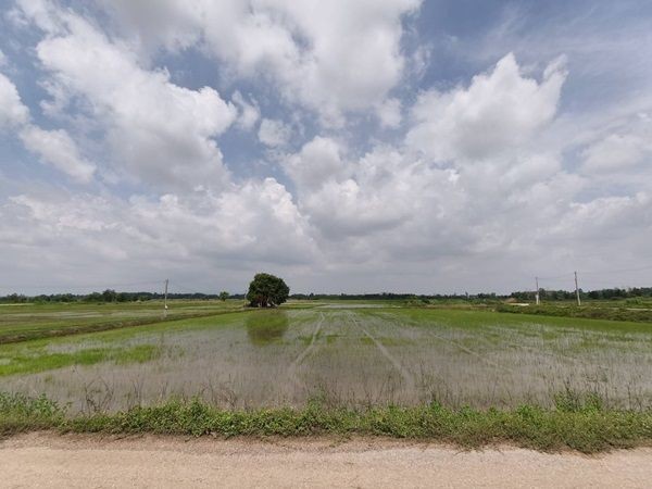 ขายที่ดิน ที่นา พิษณุโลก อำเภอวังทอง 19 ไร่ สวยมาก วิวนาสวย อากาศดี เงียบสงบ โทร 063-2825635